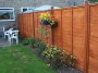 garden (7) * 2032 x 1524 * (1.09MB)